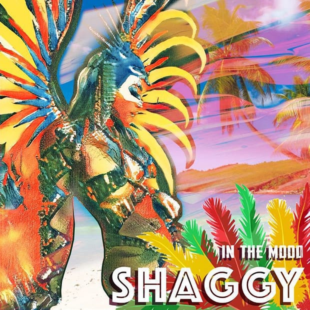 Shaggy - In The Mood EP