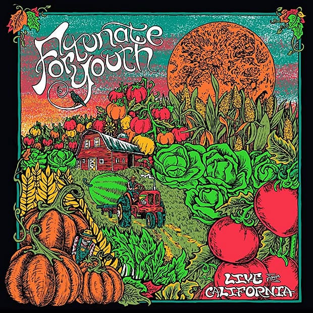 Fortunate Youth - Live From California