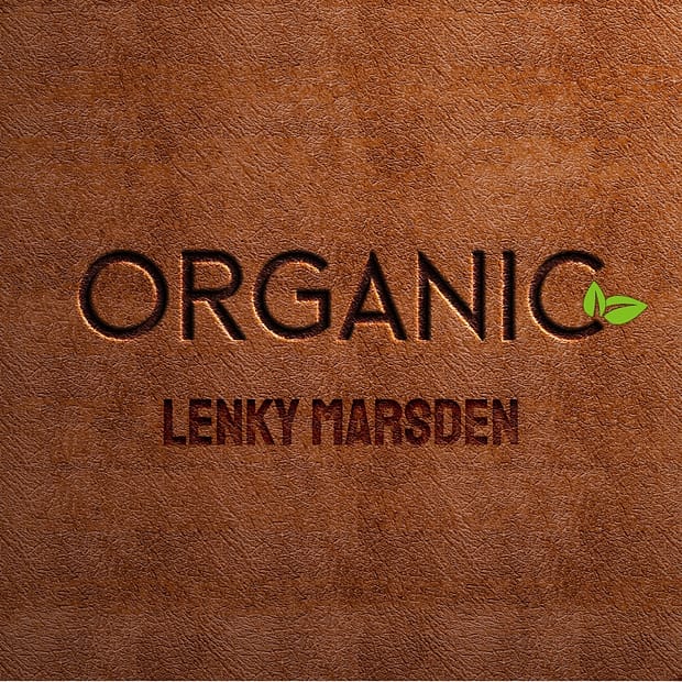 Lenky Marsden - Organic EP
