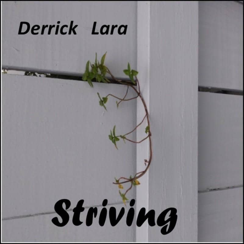 Derrick Lara - Striving EP